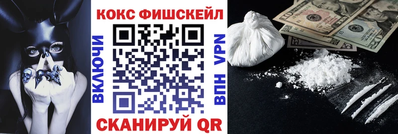 COCAIN Fish Scale сколько стоит Чита