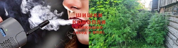 каннабис Абаза