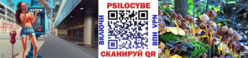 Галлюциногенные грибы MAGIC MUSHROOMS  дарк нет наркотические препараты  Чита 